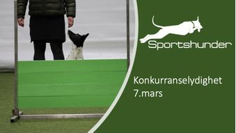 Konkurranselydighet- Oppstart 07.03.22 - Trondheim Hundehall evt ute
