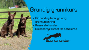 Grundig Grunnkurs - Oppstart 06.oktober - Trondheim Hundehall
