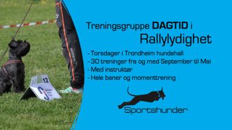 Rallylydighet treniger dagtid - Oppstart 07.sept - Trondheim Hundehall
